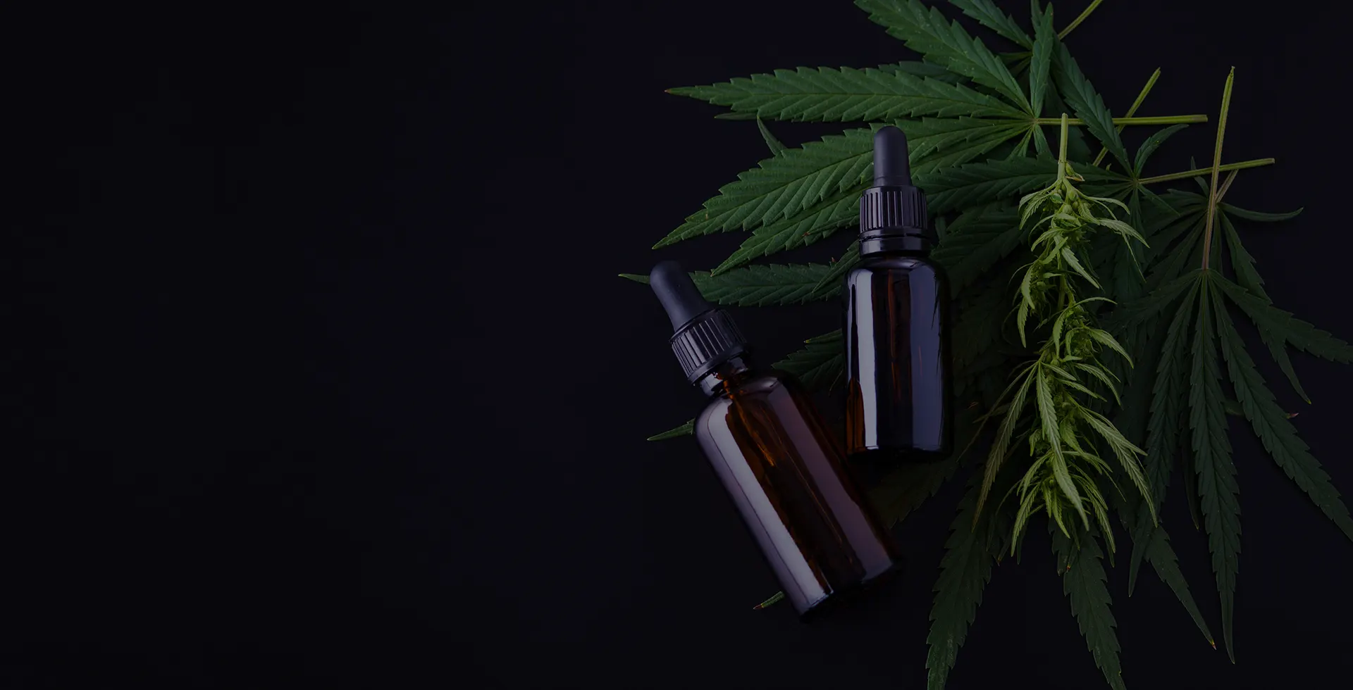 CBD BUSINESS 2